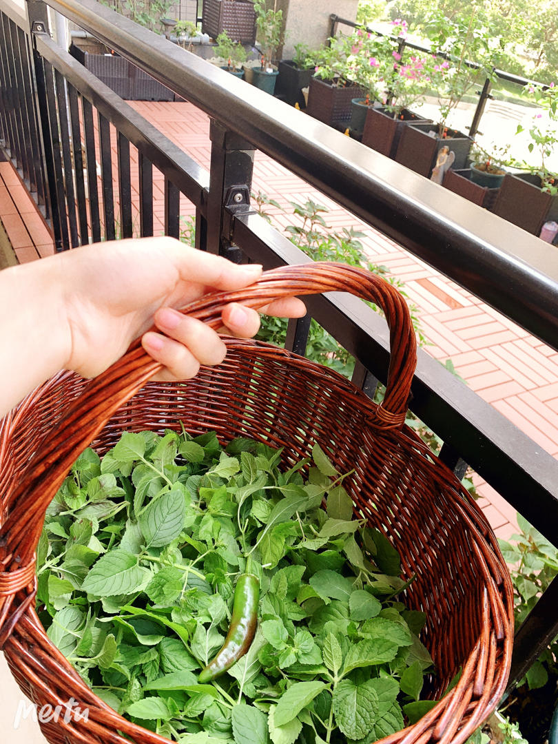 Flower Language·花の语