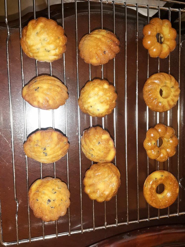 玛德琳（蓝带方）