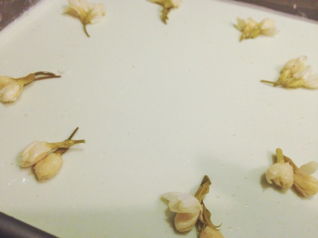 抹茶冻芝士蛋糕