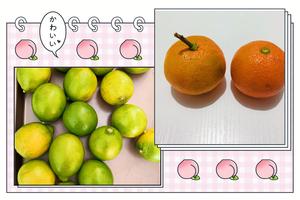 暖冬热橘子水的做法 步骤1
