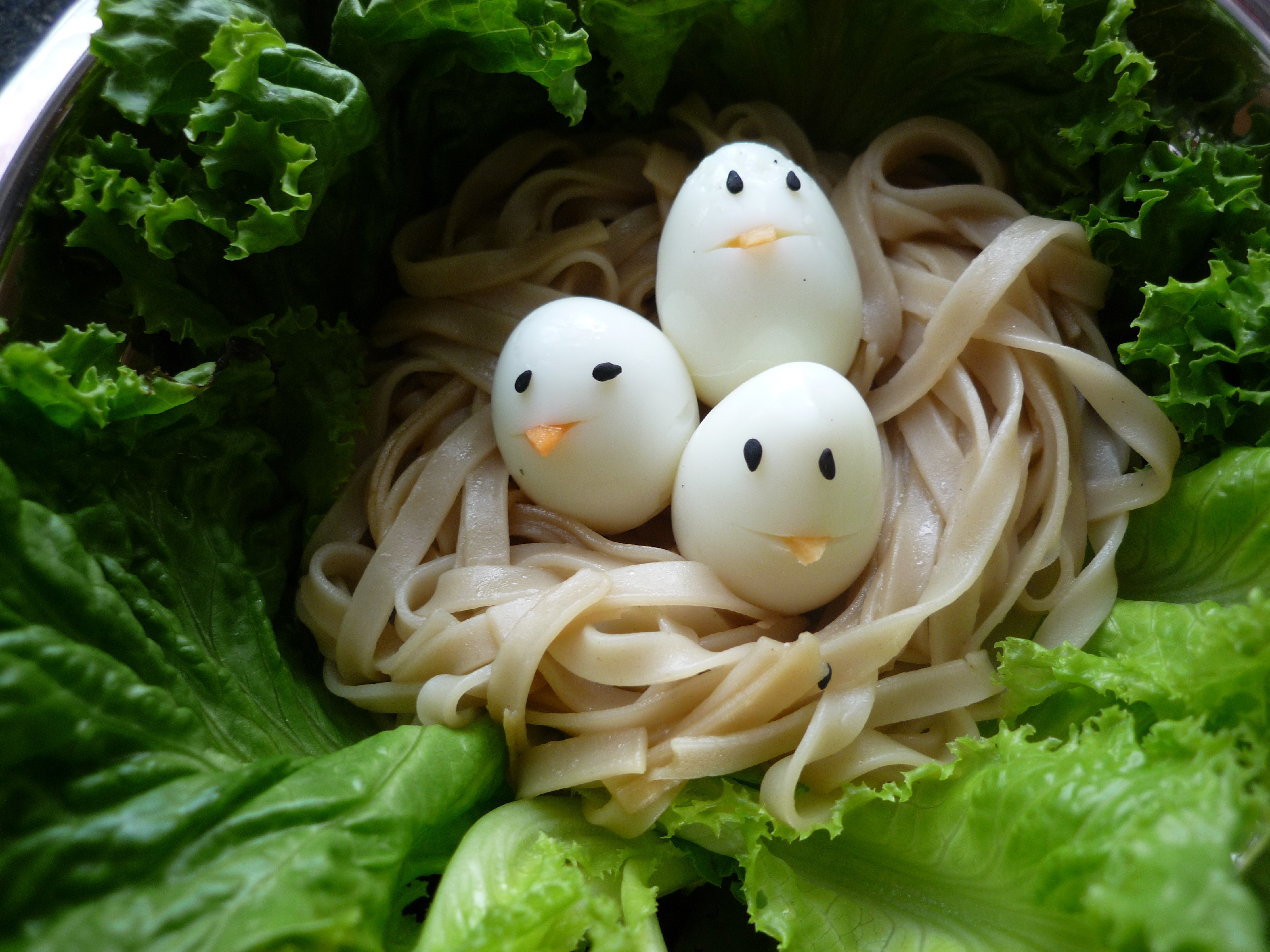 饥饿的小鸟面条