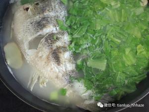 芥菜鲈鱼汤的做法 步骤10
