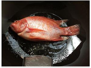 照烧焖红鱼的做法 步骤1