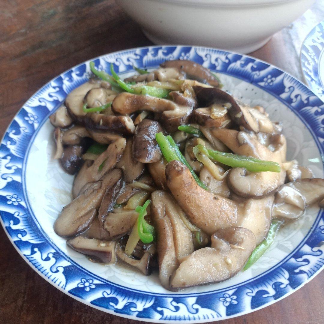 家常炒香菇 香菇炒肉