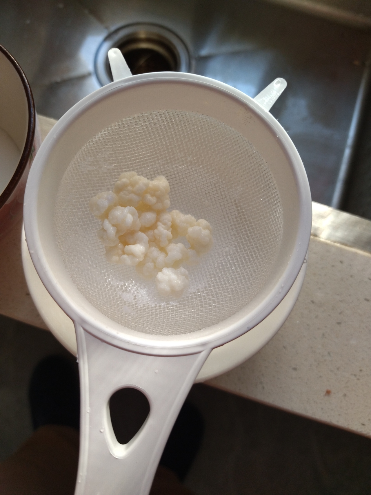 开菲尔酸奶喂养详攻略（milk kefir）丨发酵·奶类