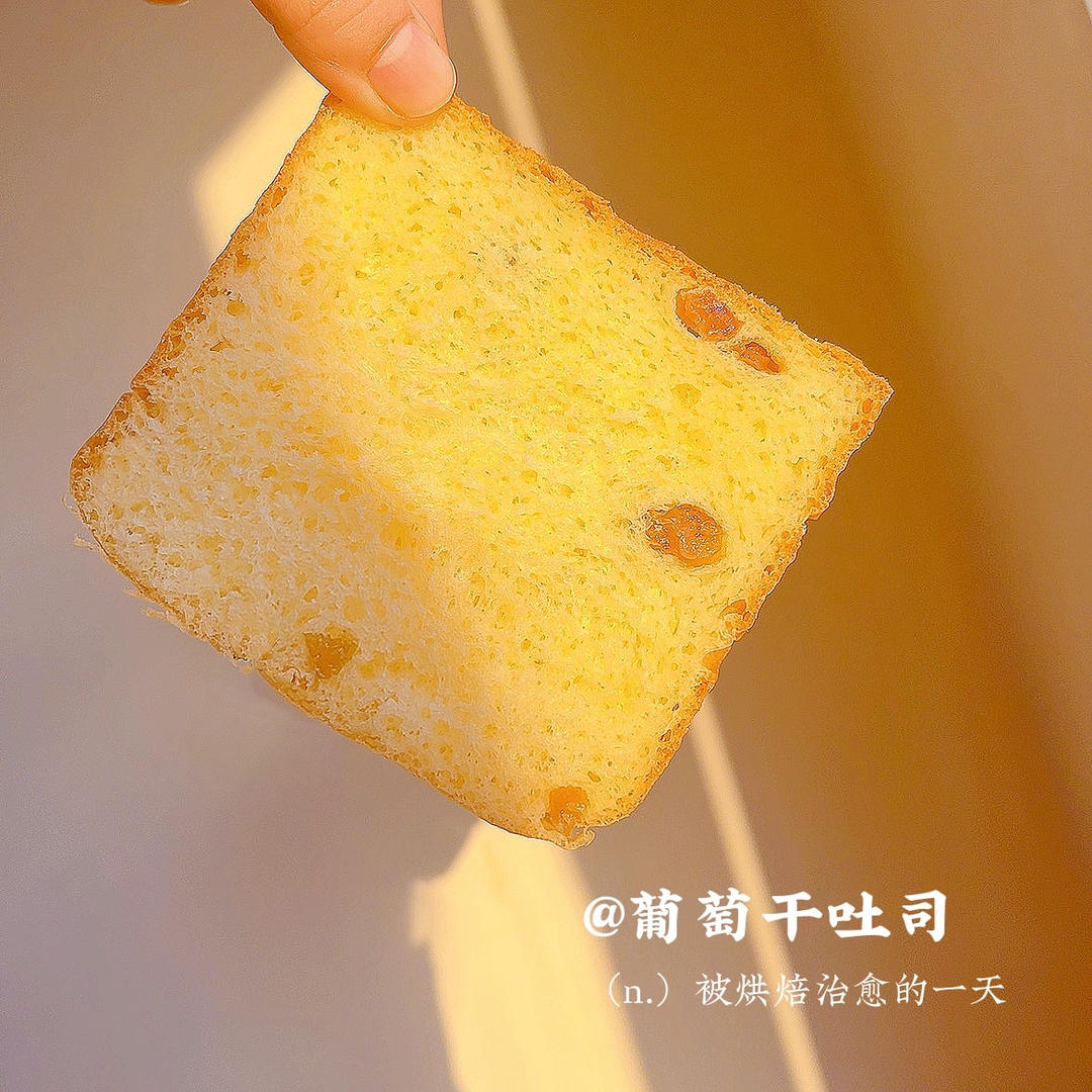 我最近每天做一个的葡萄干吐司，真的超松软好吃！