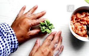 花式饺子——象形白菜饺的做法 步骤12