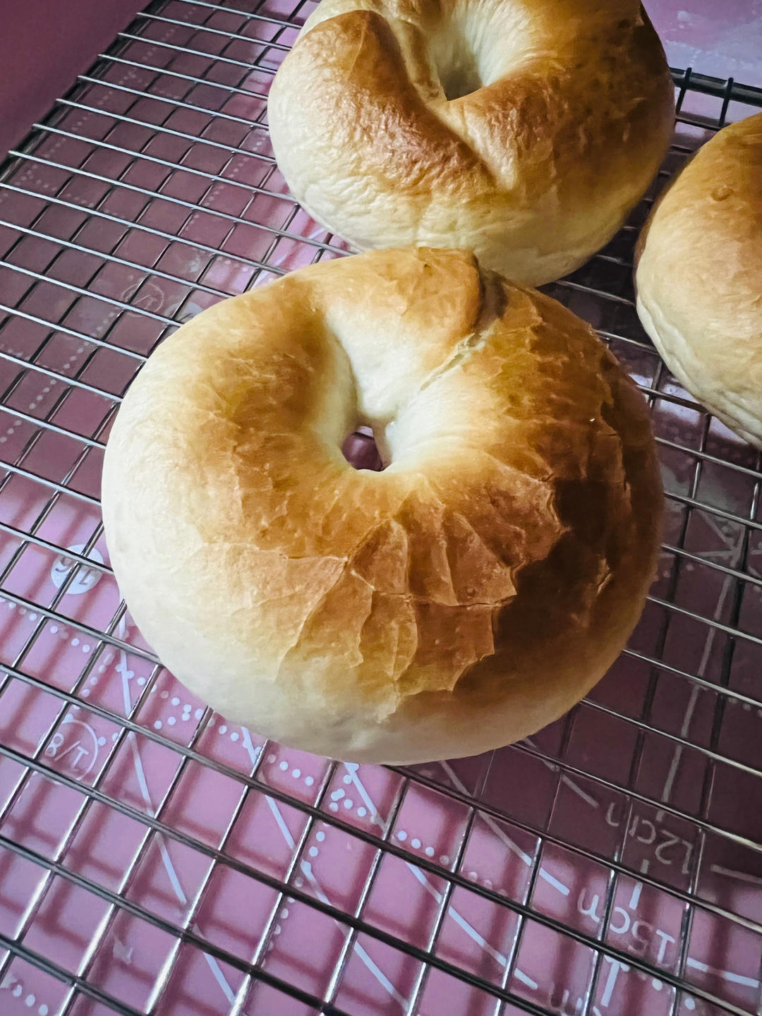 全麦贝果🥯