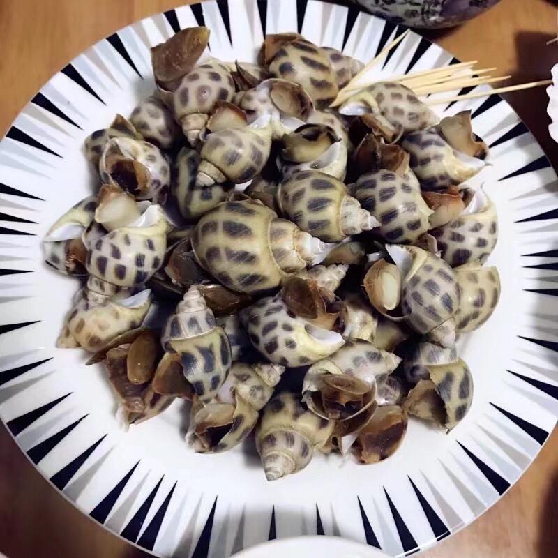 白灼花螺