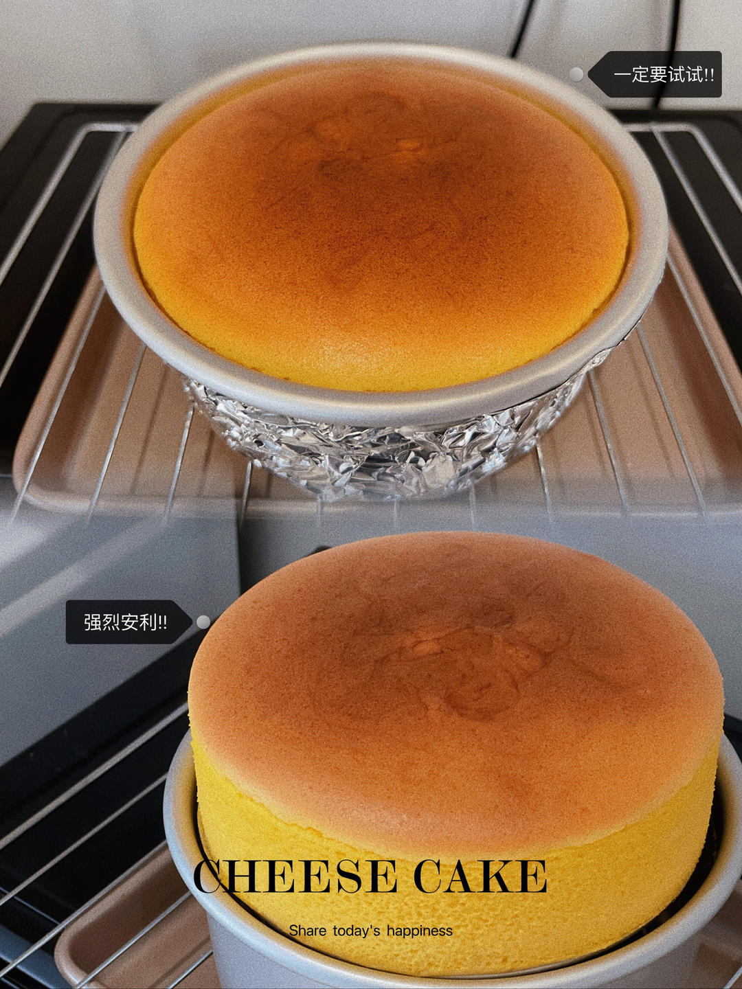 轻乳酪蛋糕（瑞可爷爷同款）网红轻乳酪