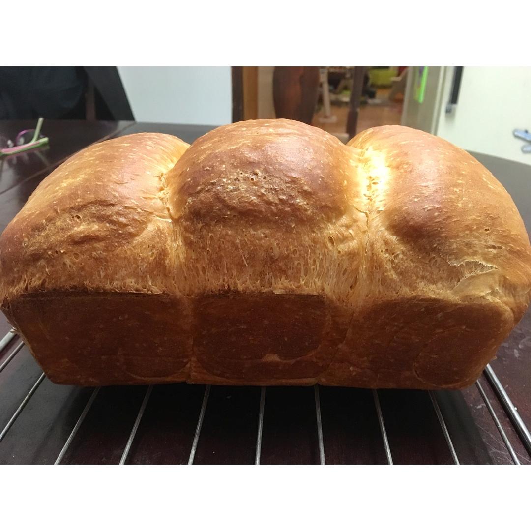 夺命软吐司(๑´ڡ`๑)超软拉丝极速方便的一次发酵吐司