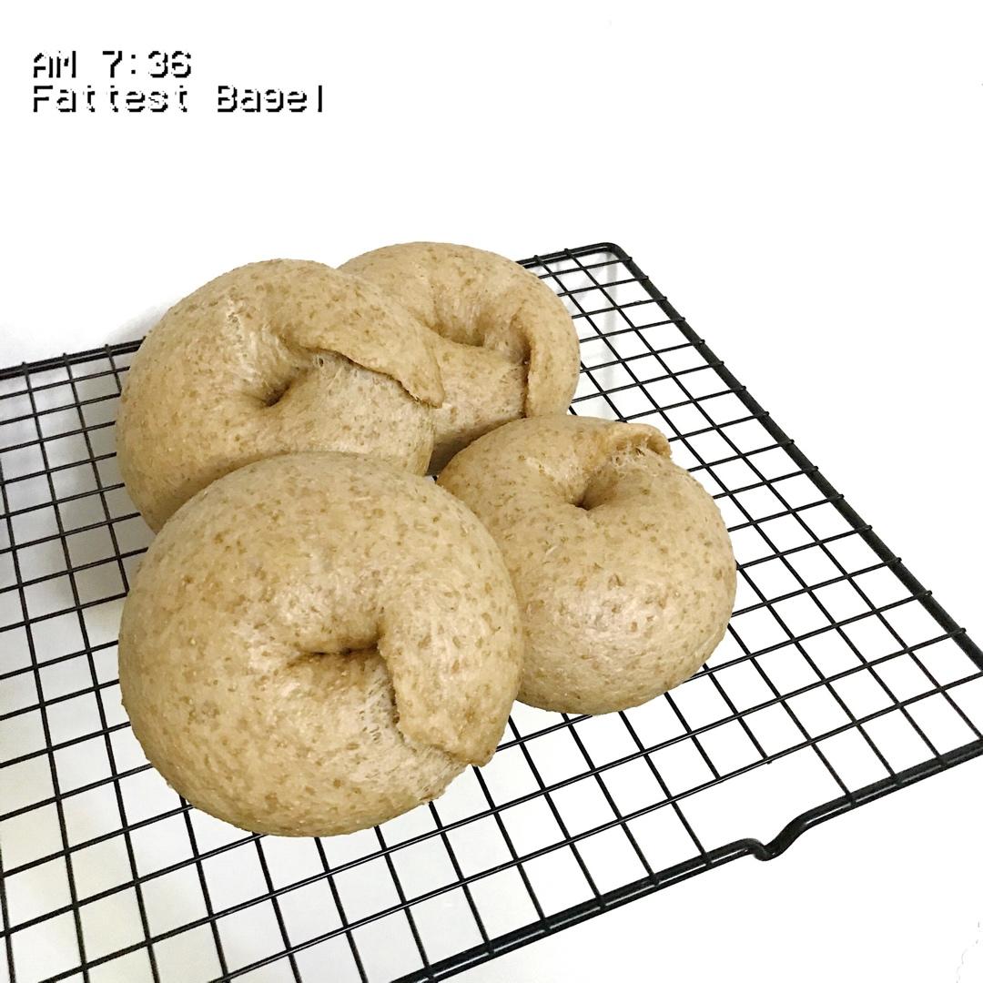 麸皮贝果