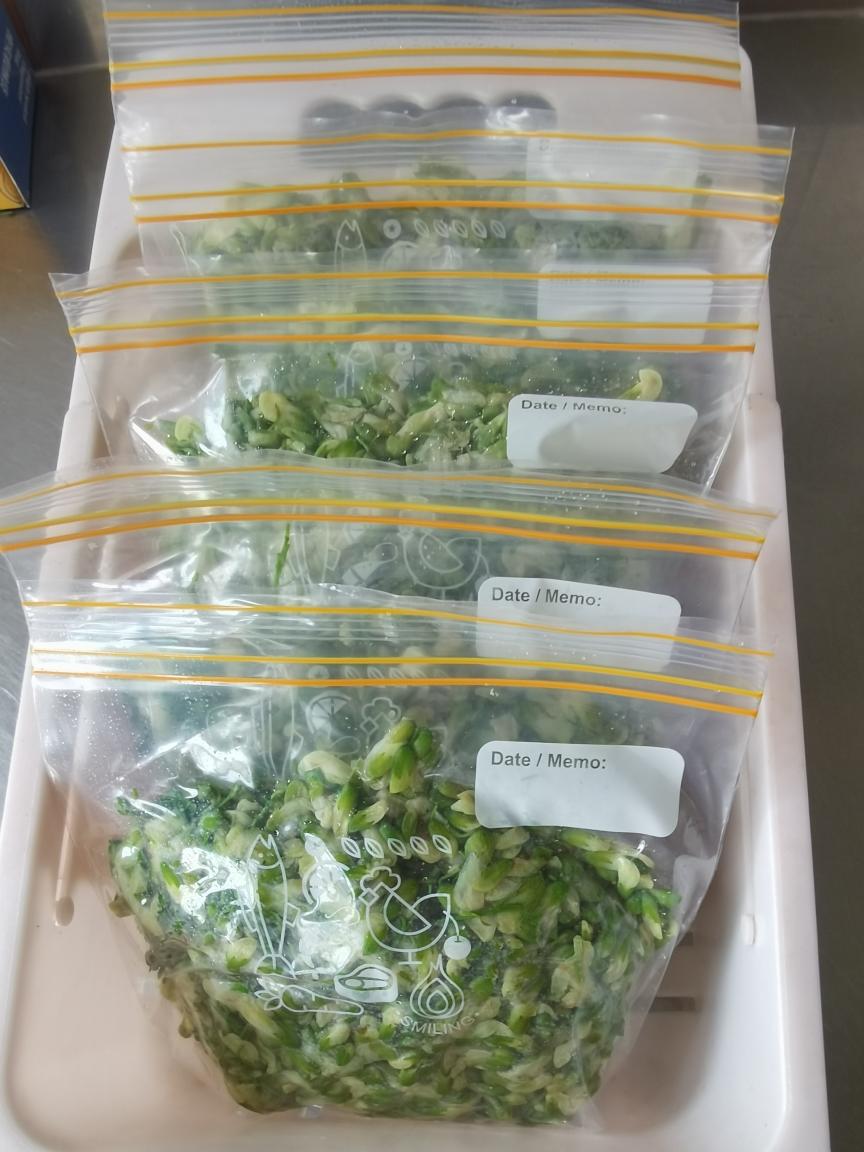 槐花的保存方法的做法步骤图 怎么做好吃 清逸 下厨房