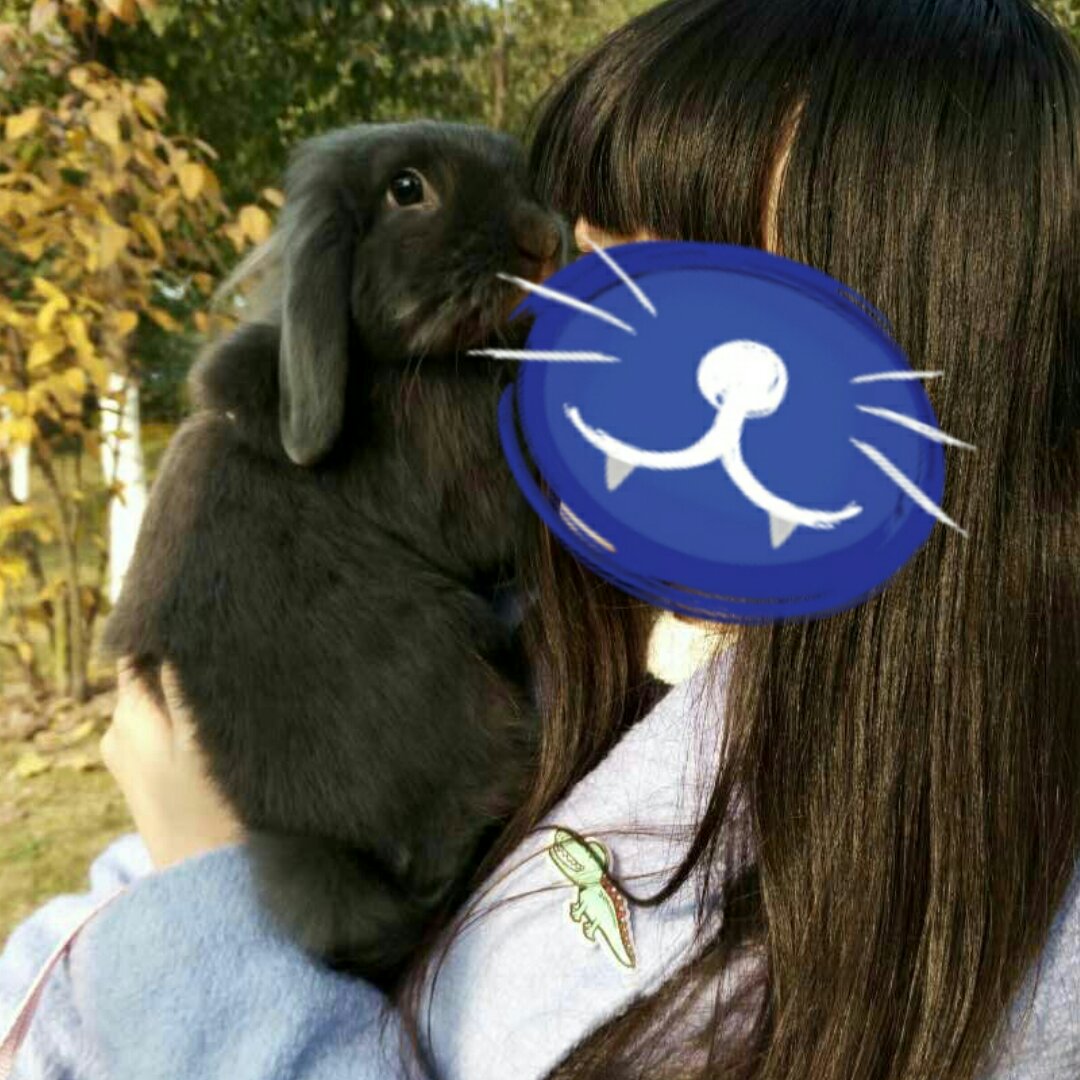 噗啦啦啦啦
