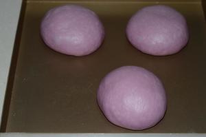 玩转面团——紫薯吐司（70%冷藏中种法）的做法 步骤5