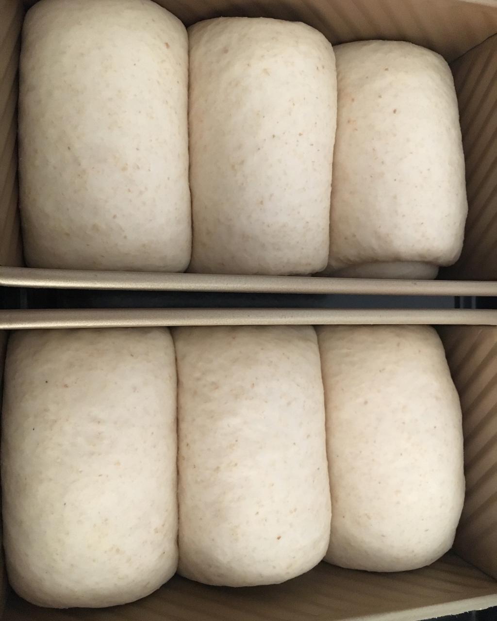 我的100个吐司练习