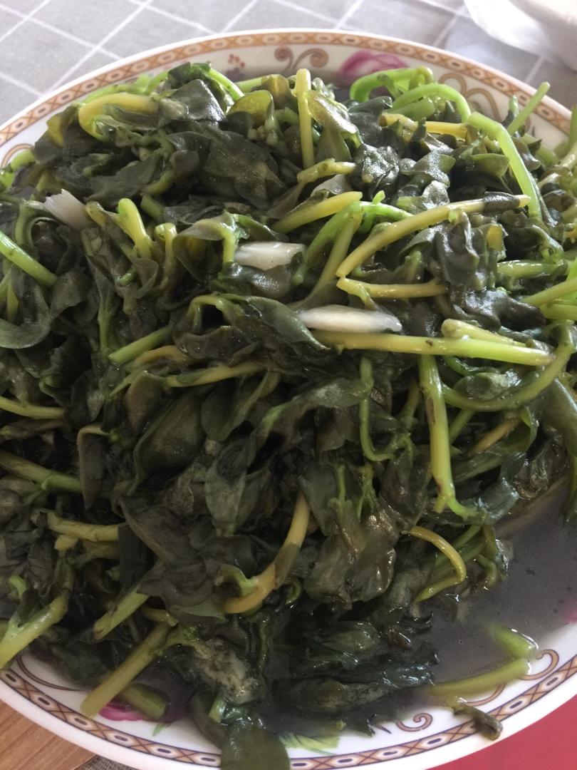 中老年男性高发病症〈肠炎〉食疗药膳（一）～蒜蓉马齿苋