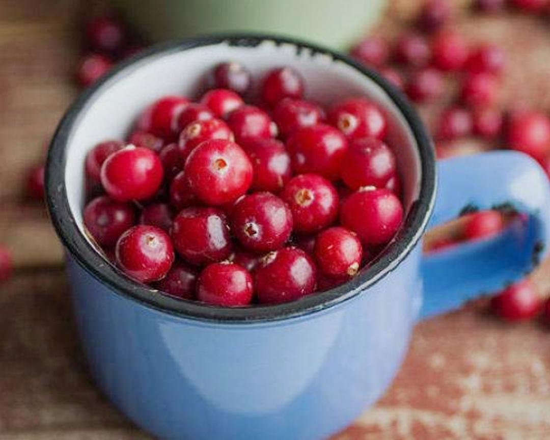 鲜蔓越莓果酱的做法