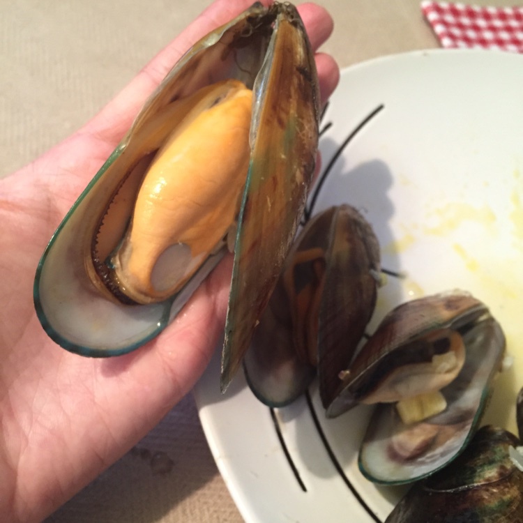白葡萄酒海虹
