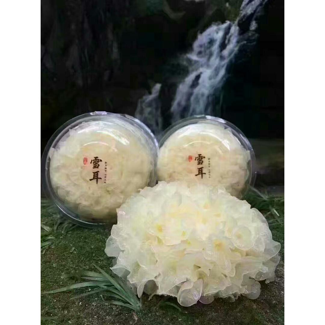 不言不语都是好风景