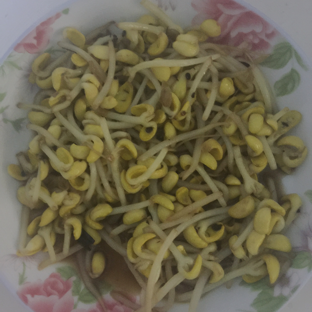 呛炒黄豆芽