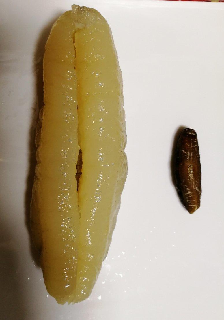 泡发海参的方法