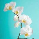 哈嘿哈哄的厨房