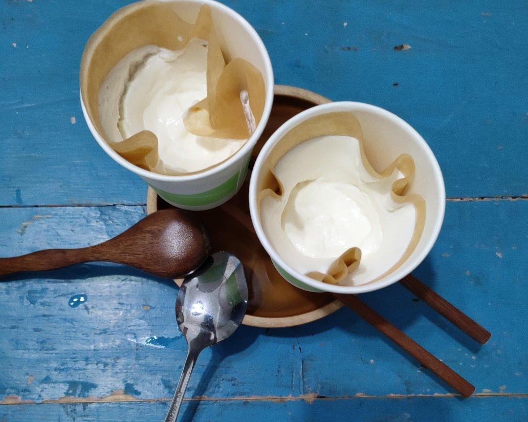 希腊酸奶快速便捷过滤法