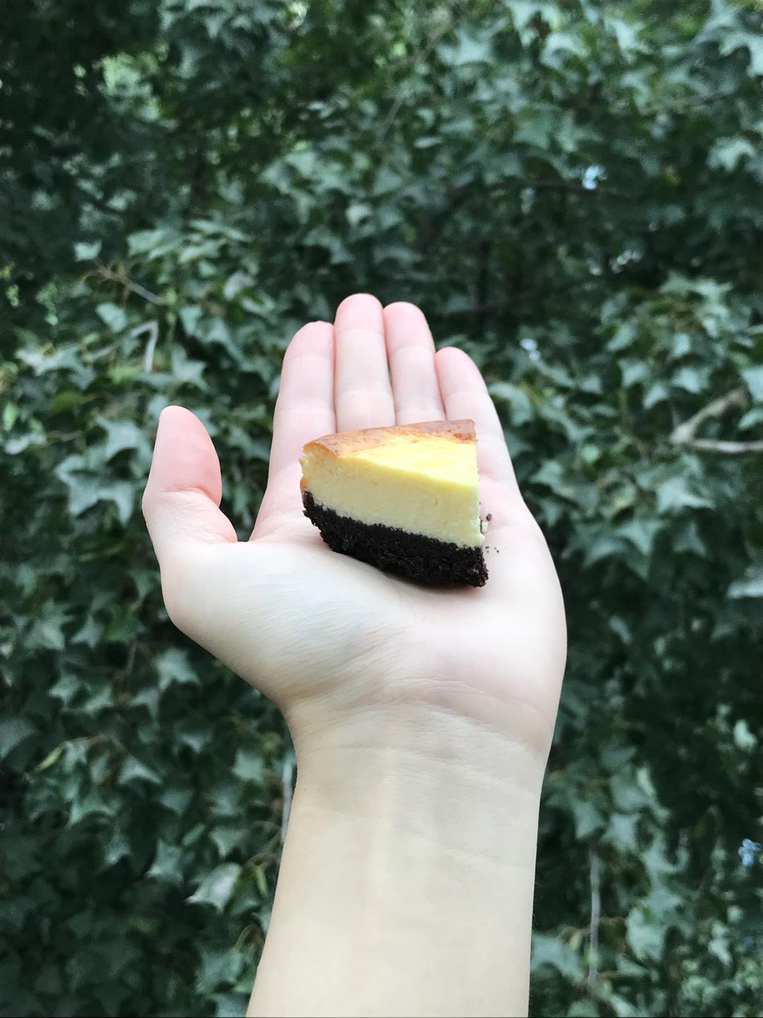 最简单的三种原料纽约芝士蛋糕的做法