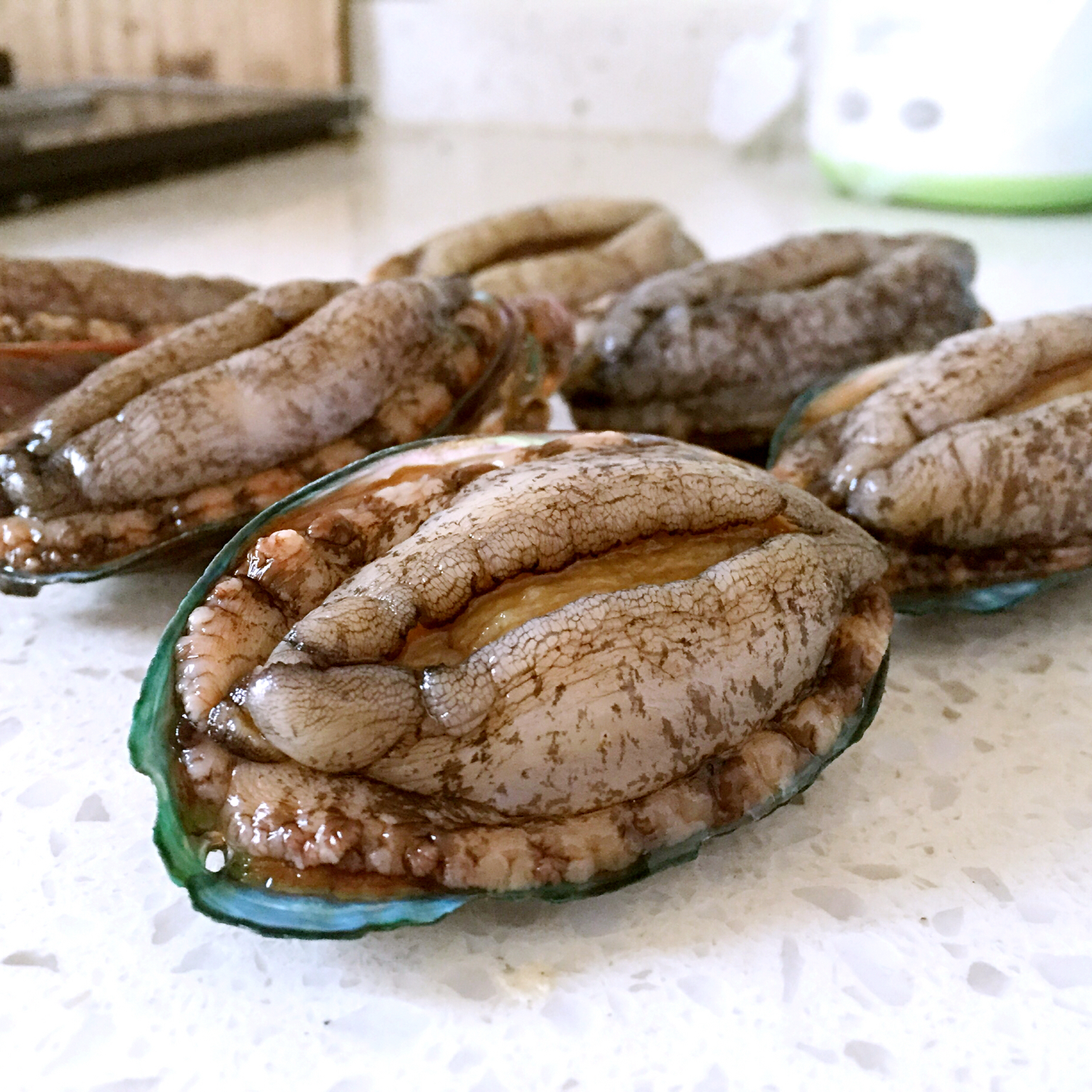 小鲍鱼红烧肉
