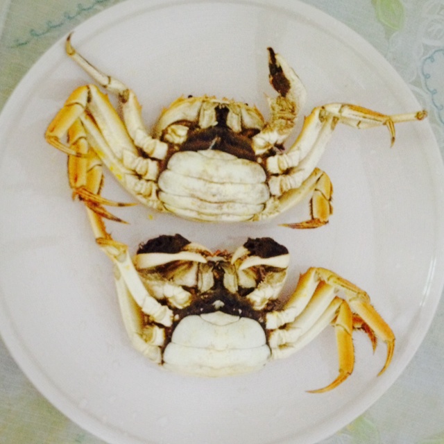 清蒸螃蟹