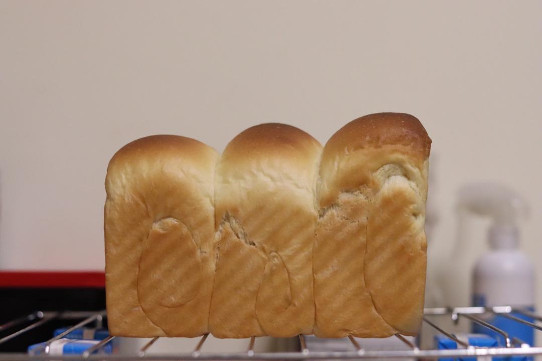 波兰种北海道吐司