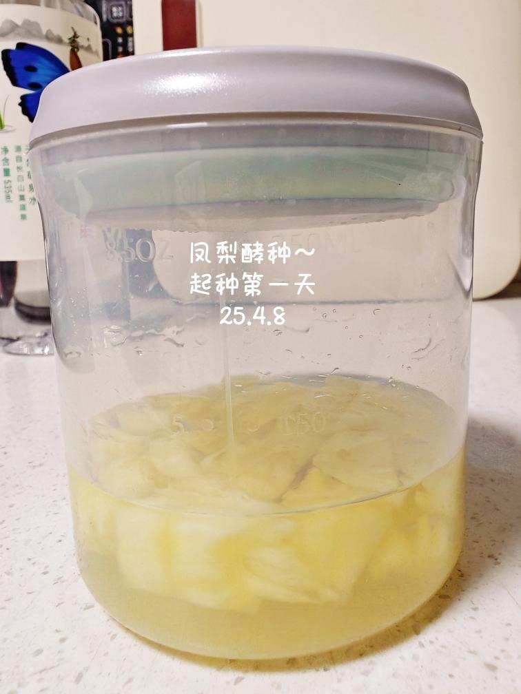 野生酵母--凤梨