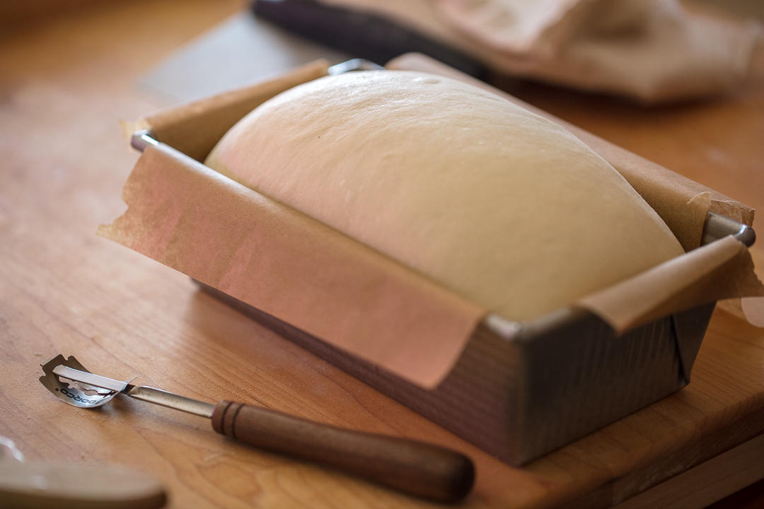 上班族和健身党的全麦餐包&吐司