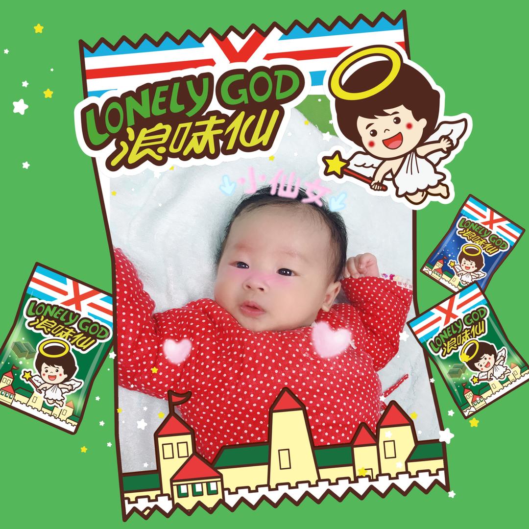 宸小只