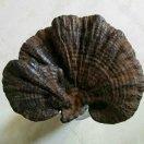 手机用户3513_ek7o