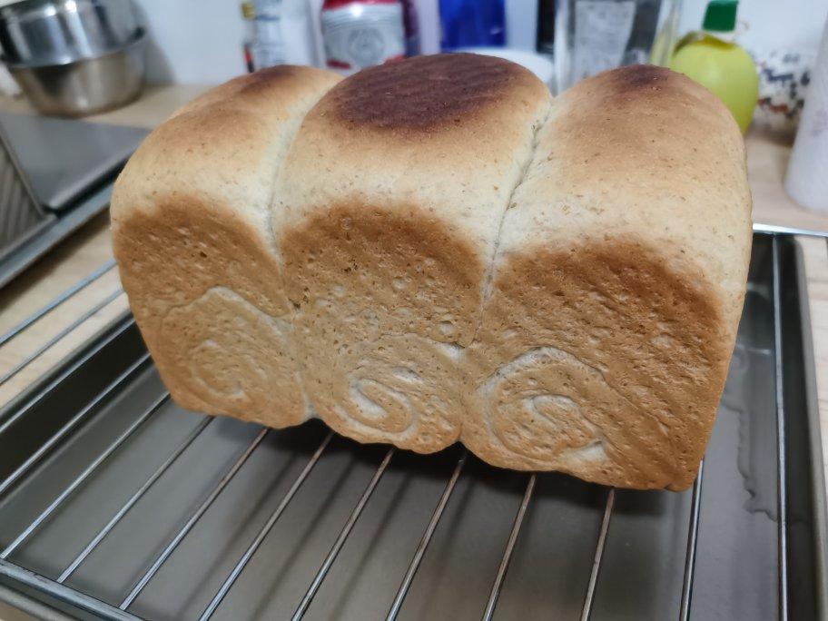 全麦拉丝吐司                              一次发酵就成功