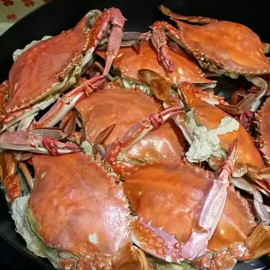 荼小靡princess做的清蒸螃蟹