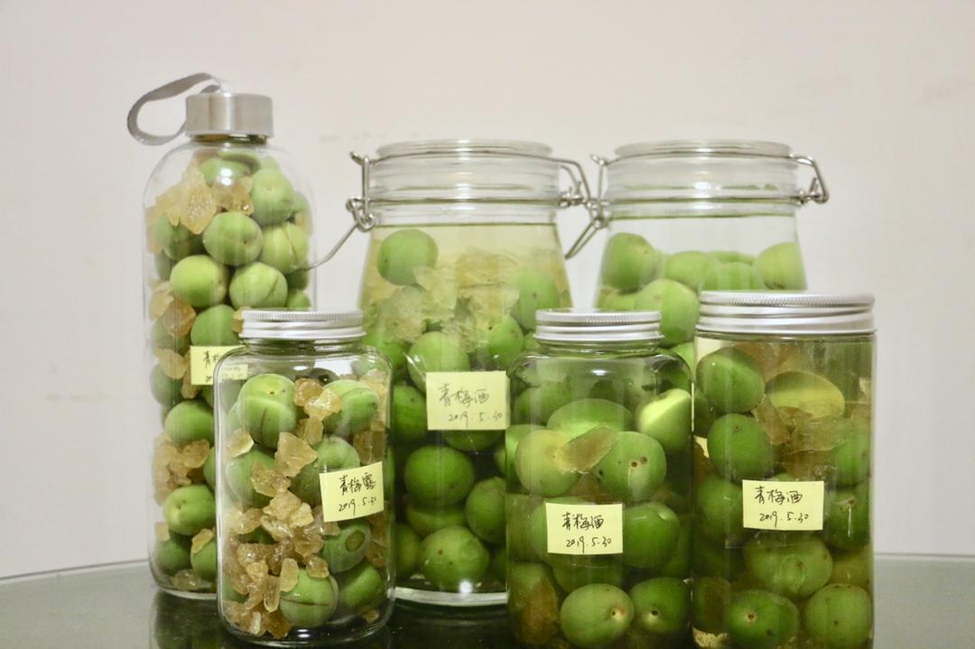 【青梅酒】梅子的沉醉时光（已填坑）