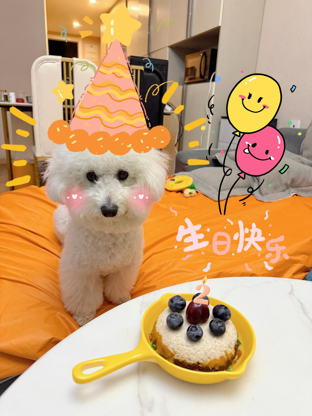 完全无添加的狗狗（宠物）生日蛋糕