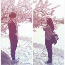 贾大宝好