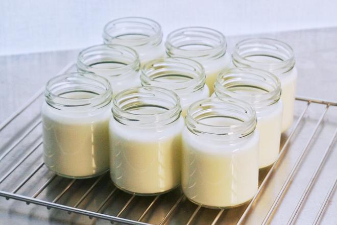 🥛0失败-浓郁顺滑-可拉丝酸奶（牛奶版，奶酪版，奶粉版）的做法