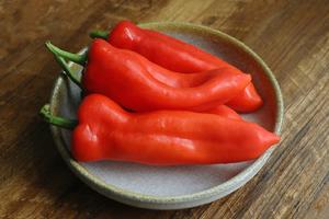 家常煎红辣椒的做法 步骤1