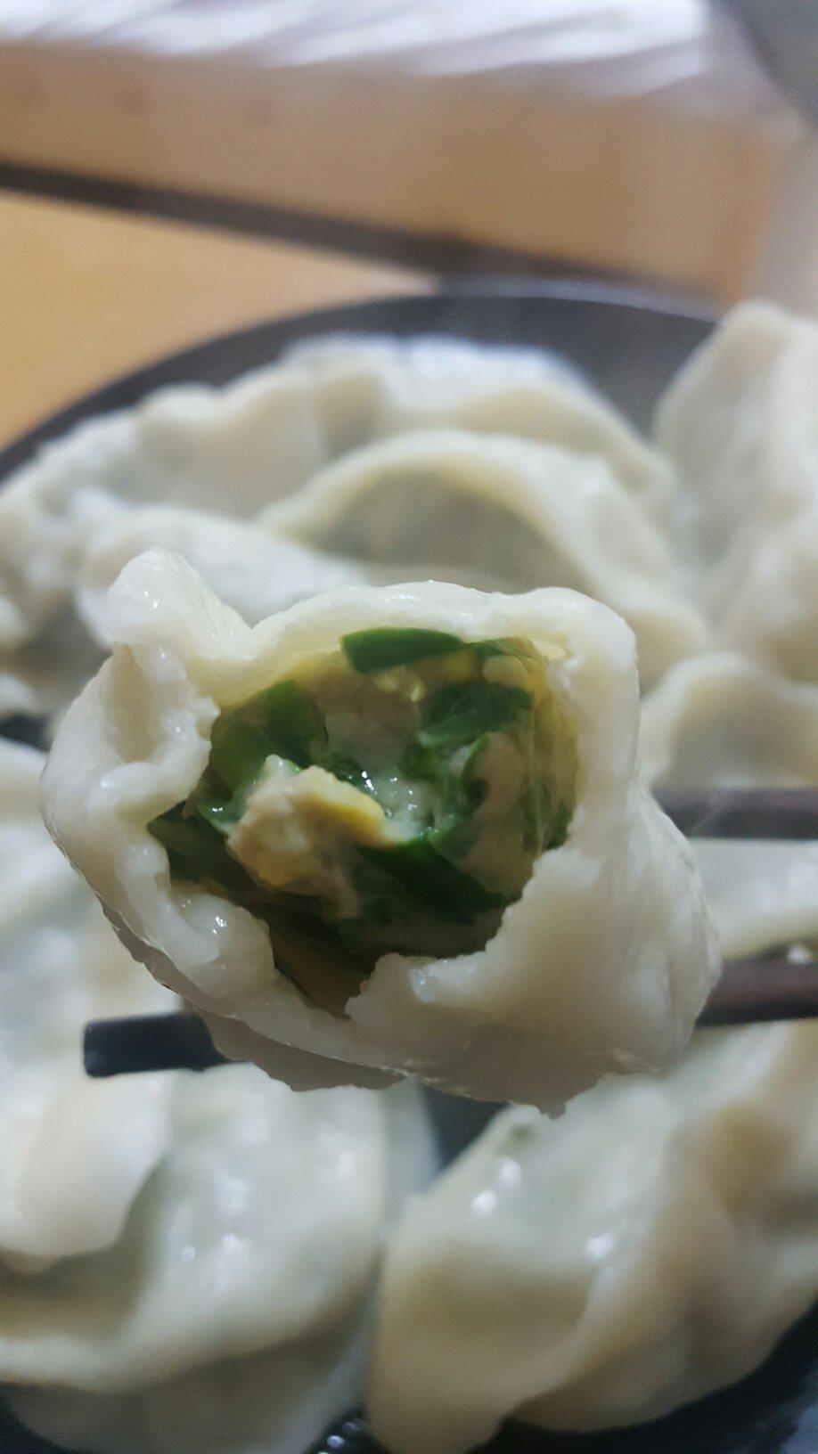 韭菜鸡蛋肉饺（自制饺子皮-面包机）的做法