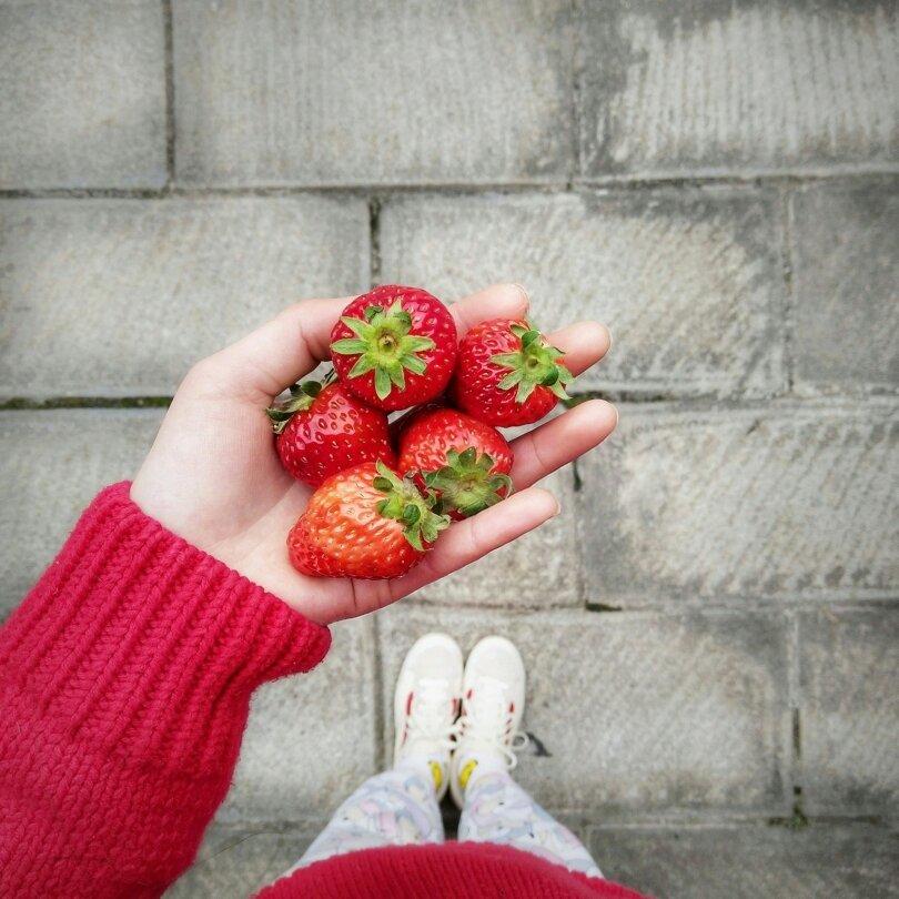 花式吃草莓🍓