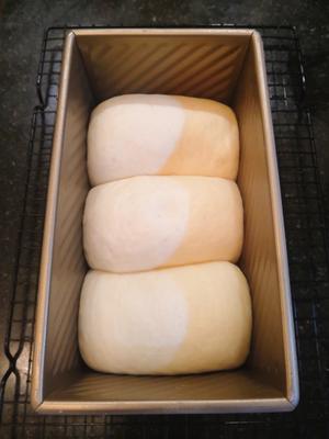 黄油浓稠酸奶面包的做法 步骤10