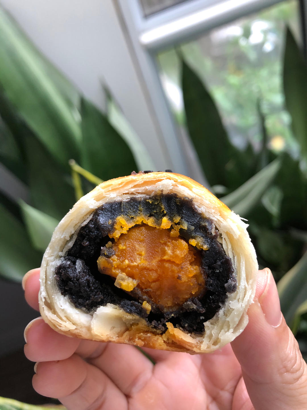 万能素油酥点（蛋黄酥、老婆饼、红豆酥、绿豆酥、鲜肉月饼）通用酥皮