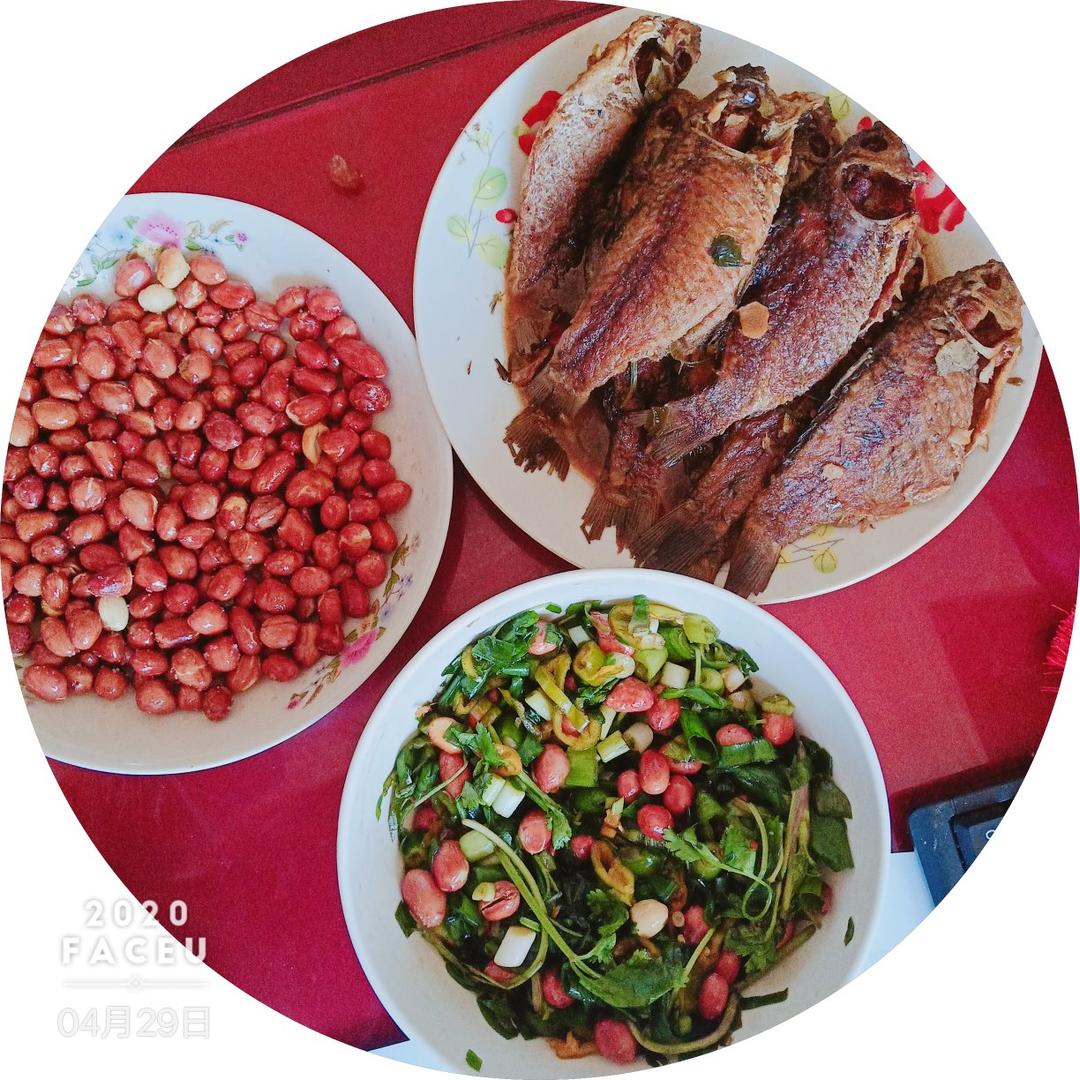 补钙佳品鲫鱼（黄花鱼）罐头，媲美梅林鱼罐头，完胜林家铺子🐠系列1