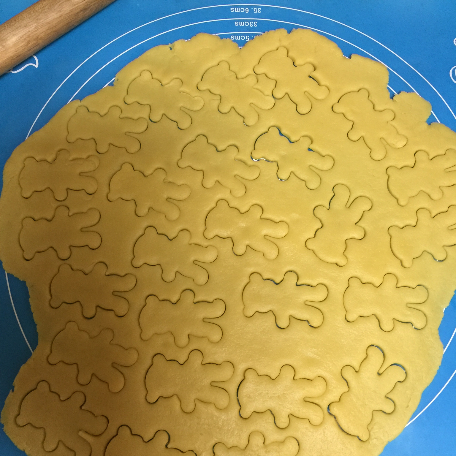 抱杏仁的小熊（造型饼干）