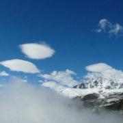 自游自在的大头鱼